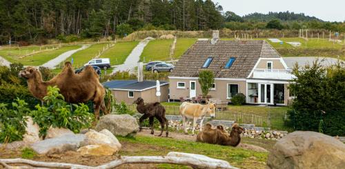 Ebeltoft House | Ree Park Safari