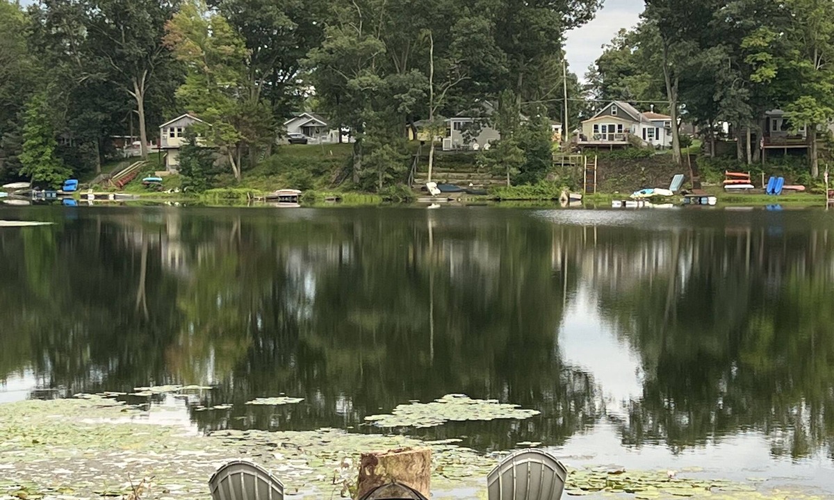 Cambridge Apartment | Reflections of Tranquility- Lakefront Splendor