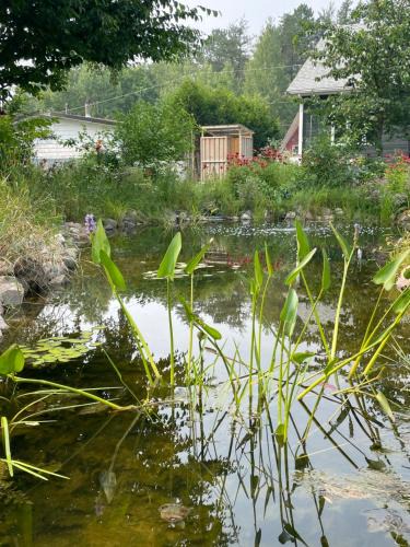La Tuque Apartment | Refuge nature en forêt quartier paisible Parc des Chutes