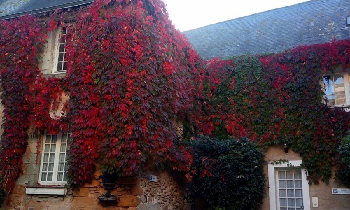 La Fleche Hotel | Relais Cicéro