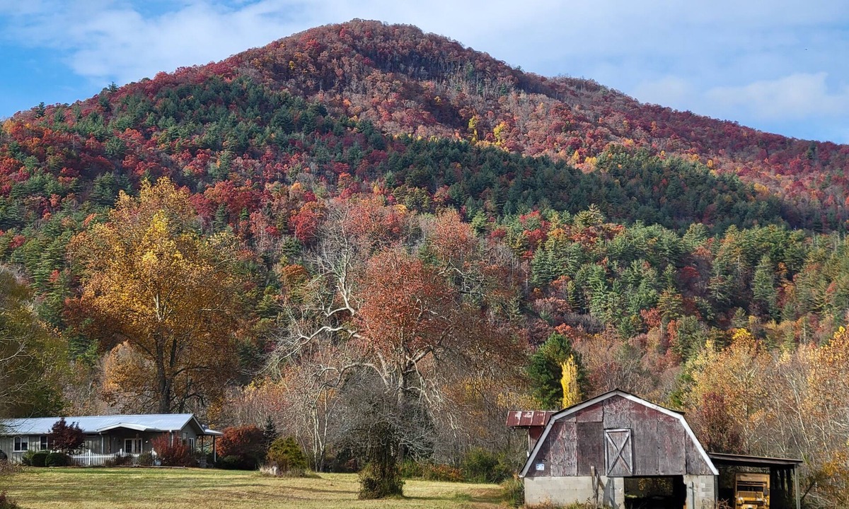 Rabun Gap Cabin | Relax at Rabun Gap Retreat!