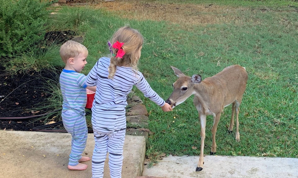 Canyon Lake House | Relax at the lake! Large 5 room/3 bath house w/hot tub pet friendly