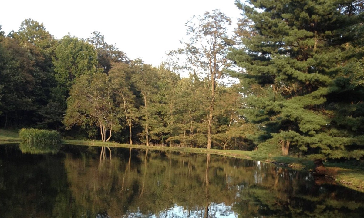 Brackney Other | Relax at this Tranquil Waterfront Home