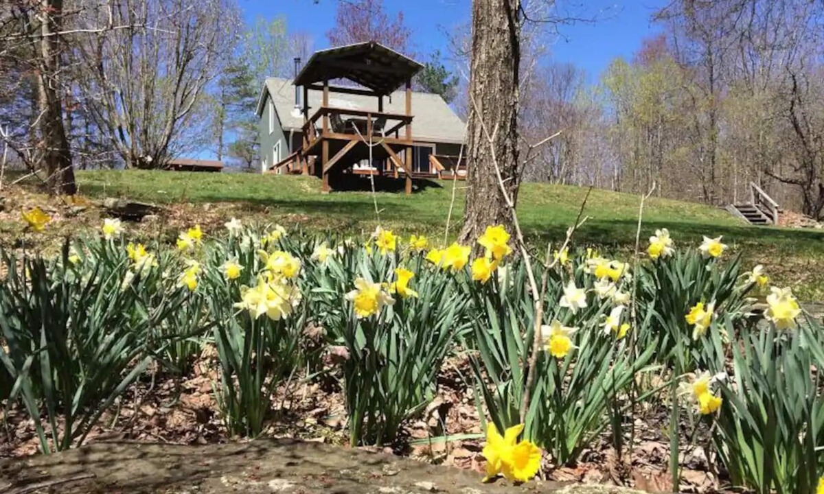 Fleischmanns Cabin | Relax in peaceful, private, secluded woods and mountains