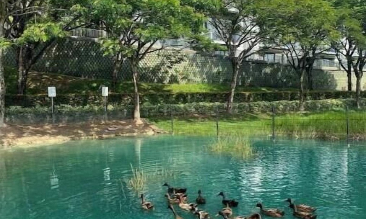 Nusajaya Apartment | Relax Loft Suite 5pax@Sunway Gird