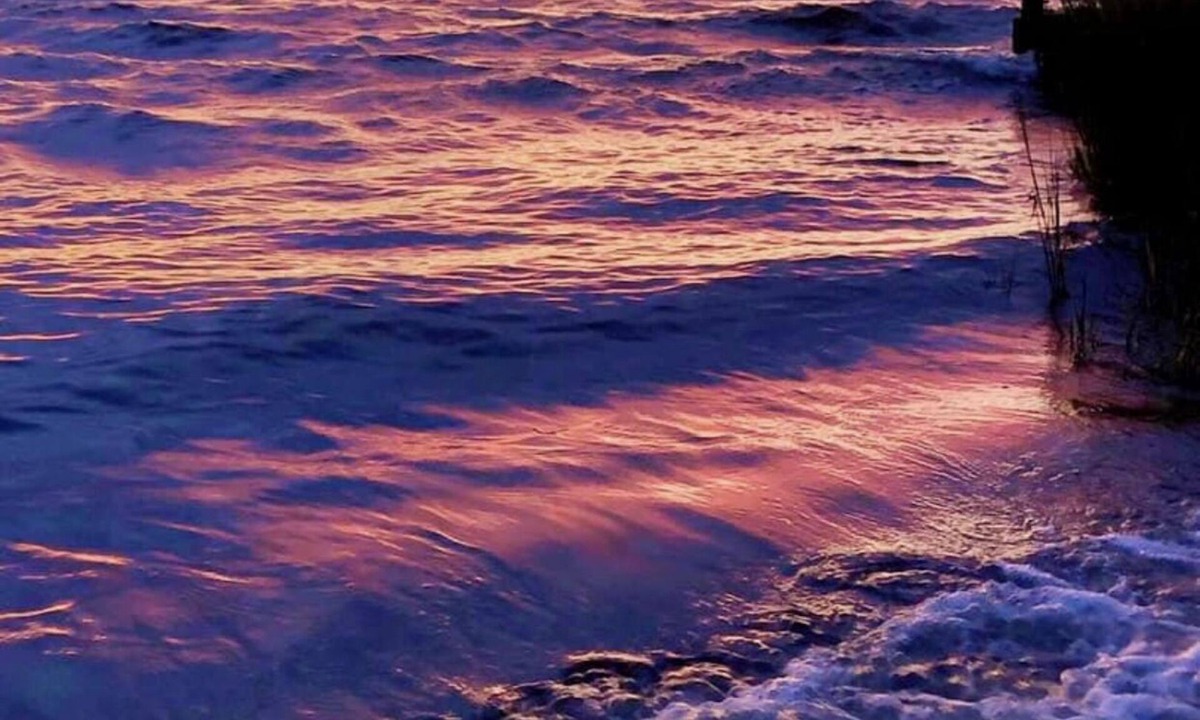 Trappe Bed & Breakfast | Relax or Play on the Choptank River!