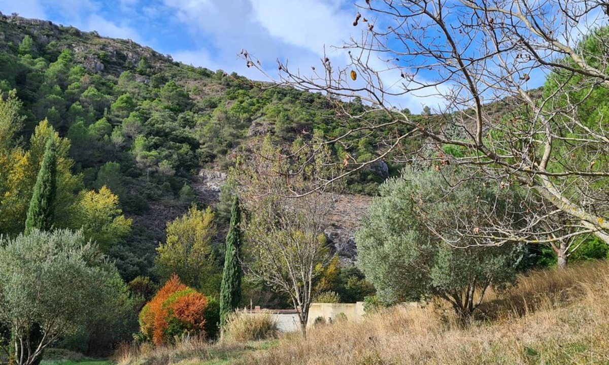 Caunes-Minervois Apartment | Relaxing apartment with Mountain views