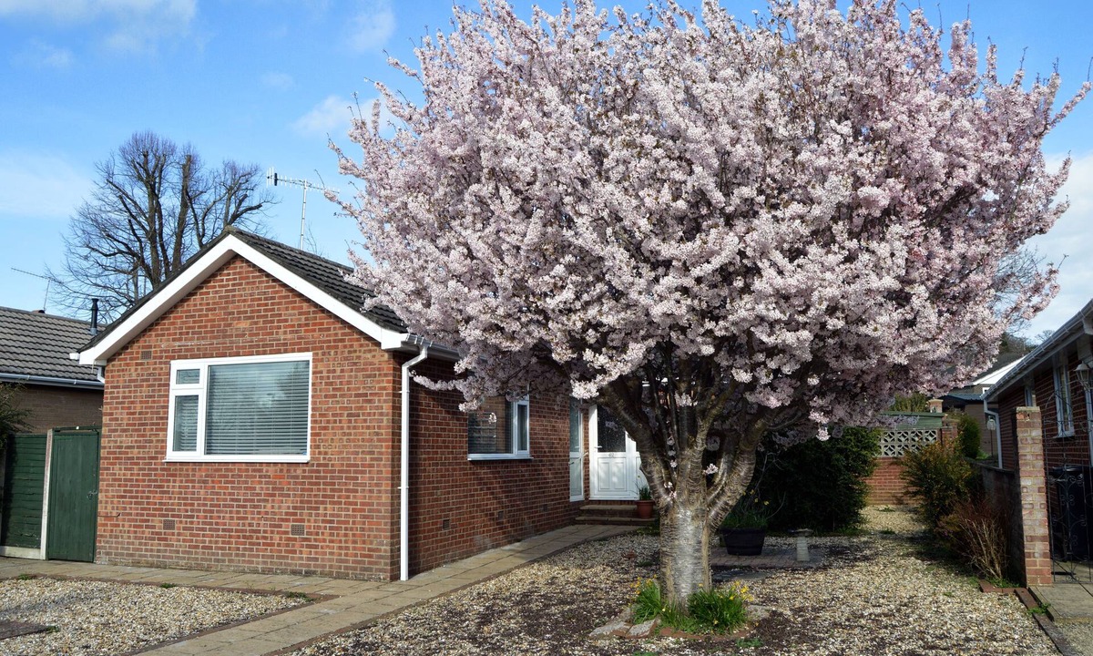 Wimborne House | Relaxing, Comfortable Bungalow a Short Walk From Wimborne Minster