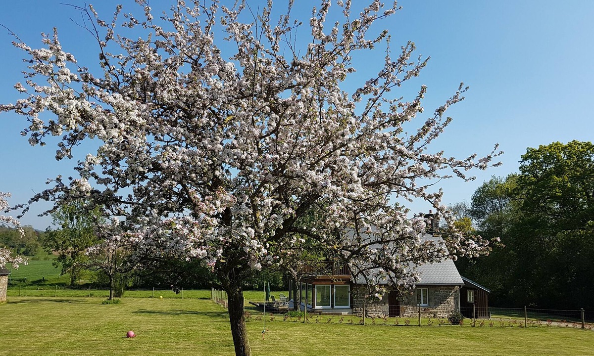 Saint-Germain-de-Tallevende-la-Lande-Vaumont House | Relaxing Country Retreat
