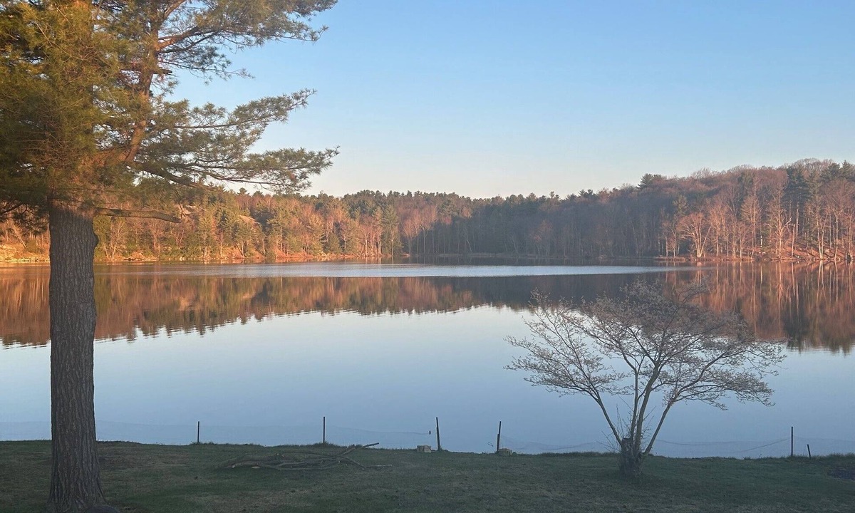 Addison Cottage | Relaxing Graham Lake Escape