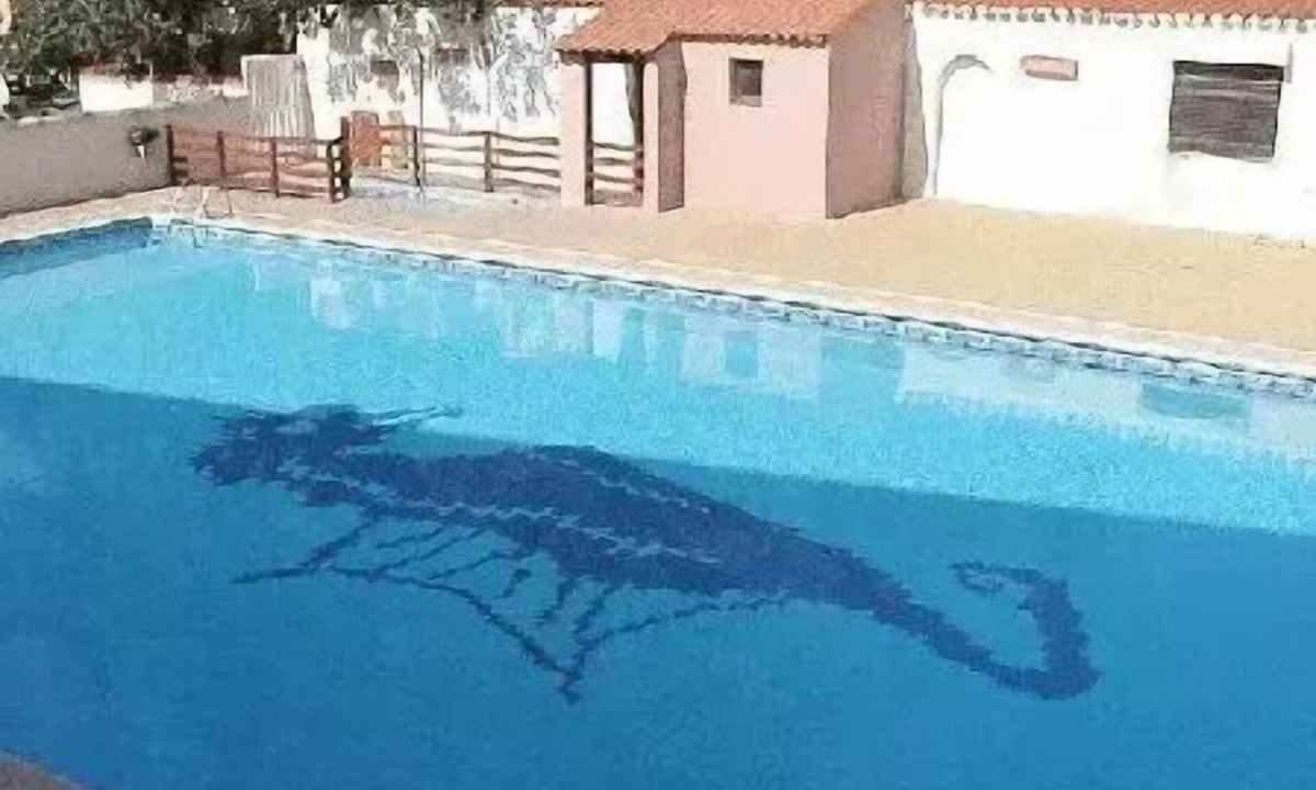 Marseillan Villa | Relaxing stay in a pleasant, ideally located setting