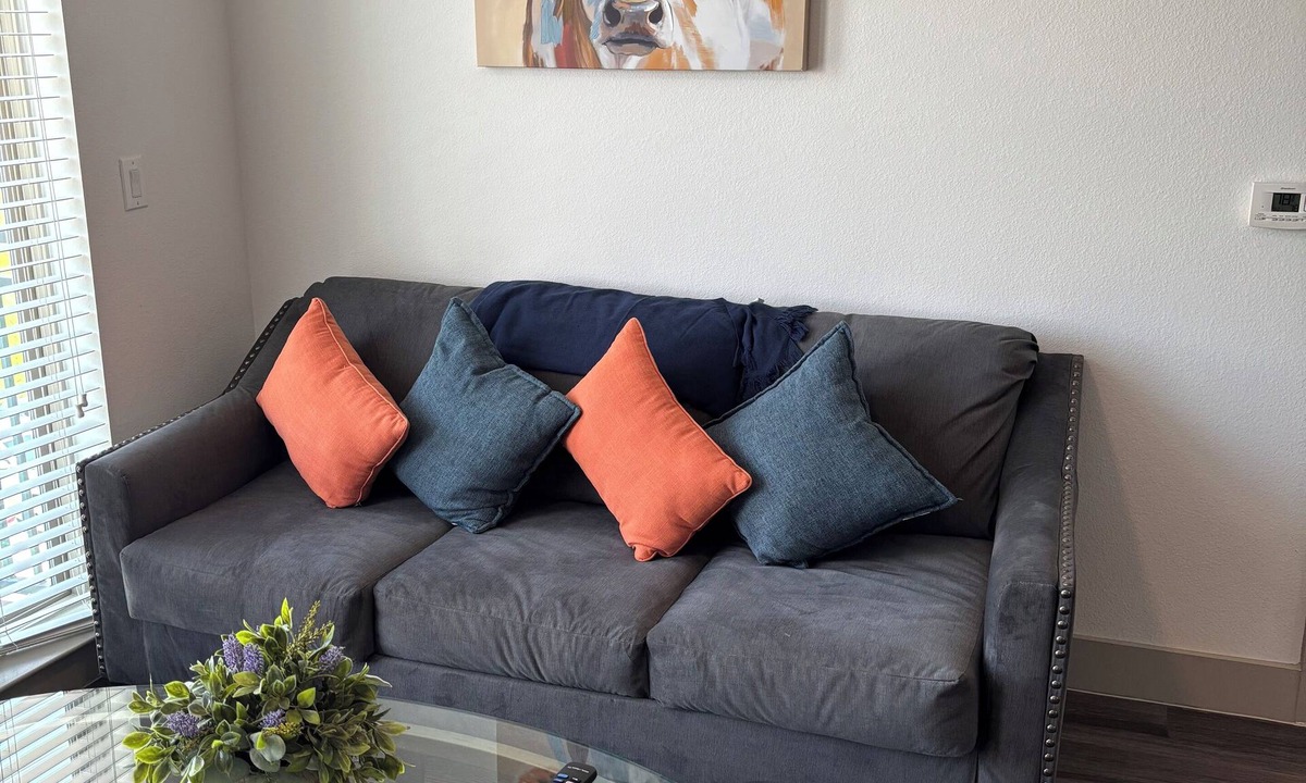 The Colony Apartment | Relaxing vacation home in North Texas. Fun attractions in every direction