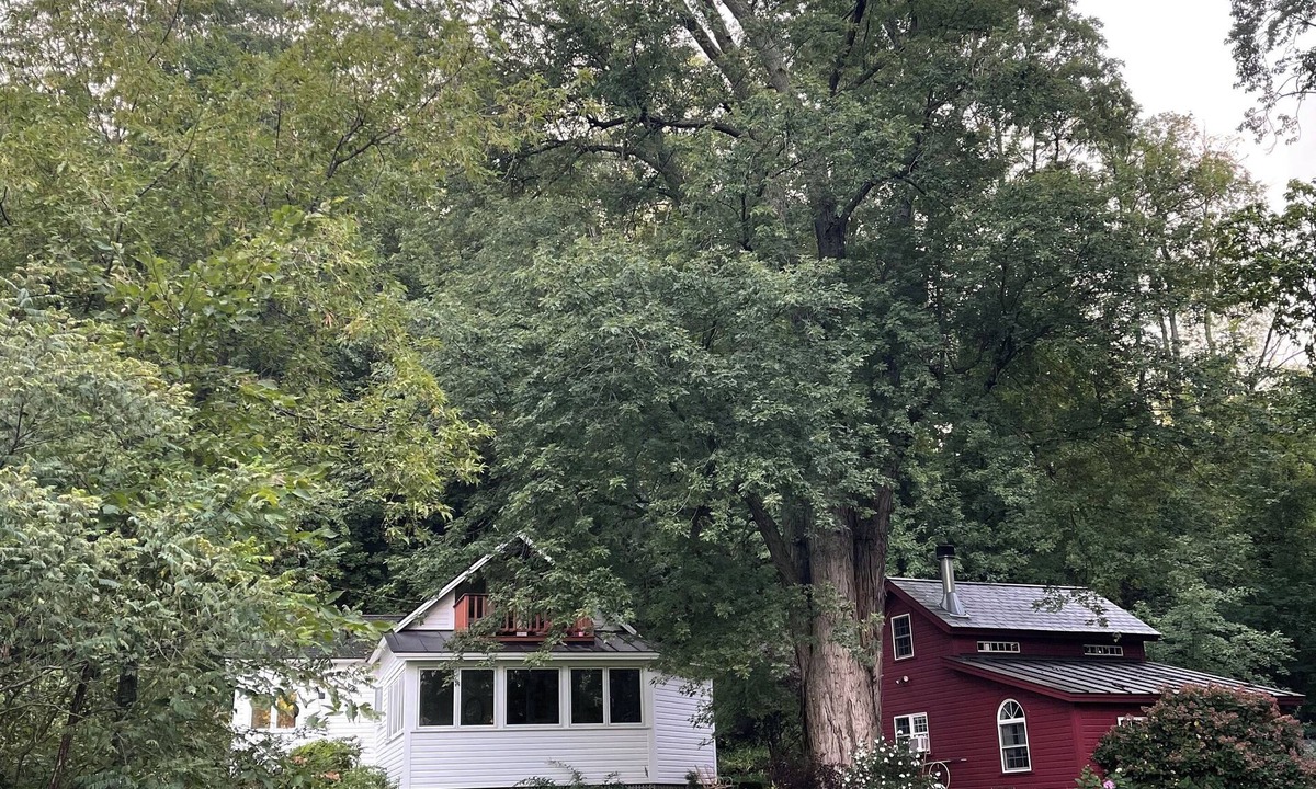 Fair Haven House | REMOTE, ROMANTIC, RELAXING, RURAL VERMONT DIRECT WATERFRONT