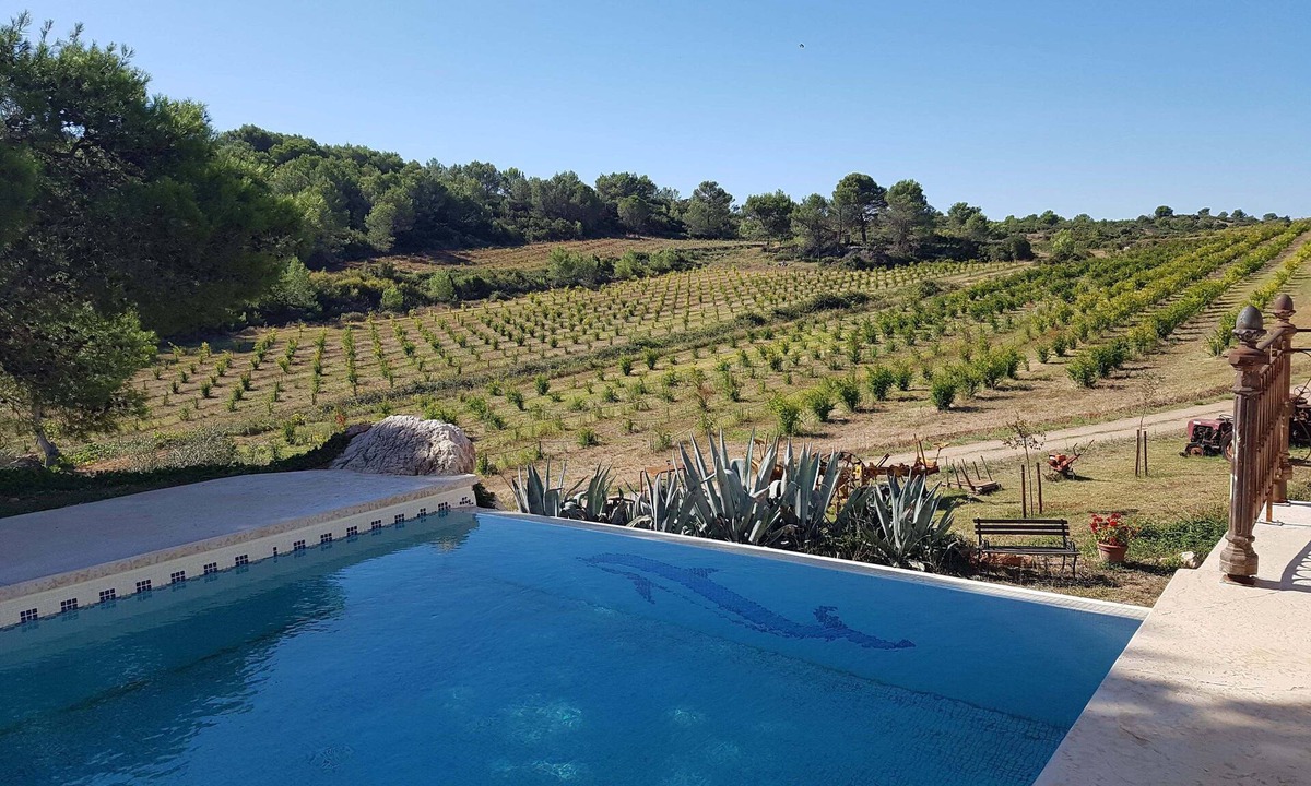 Cessenon-sur-Orb House | Renovated farmhouse in the heart of nature, ideal for a peaceful vacation