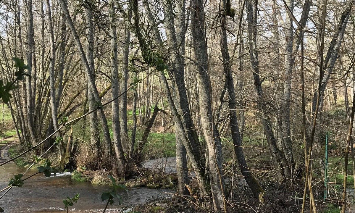 Vauclaix Cottage | Renovated farmhouse