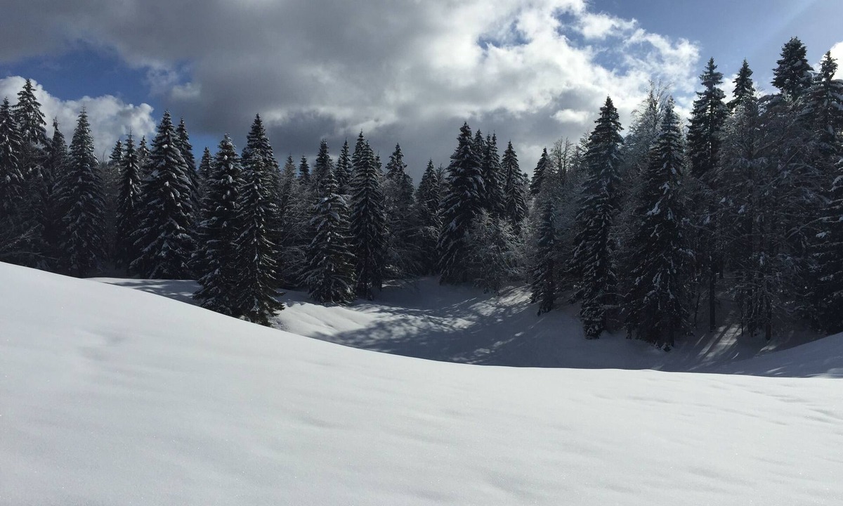 Premanon Apartment | Rent nature Studio