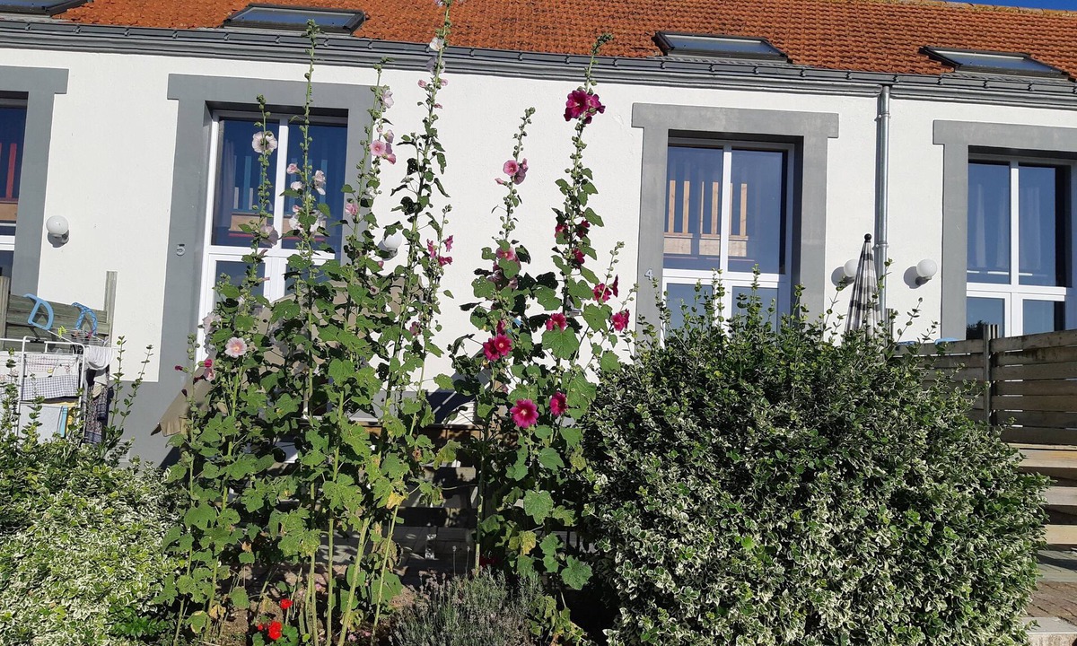 Sallertaine Cottage | Rental classified 3 stars with 4 rooms for 6 people - heated swimming pool -