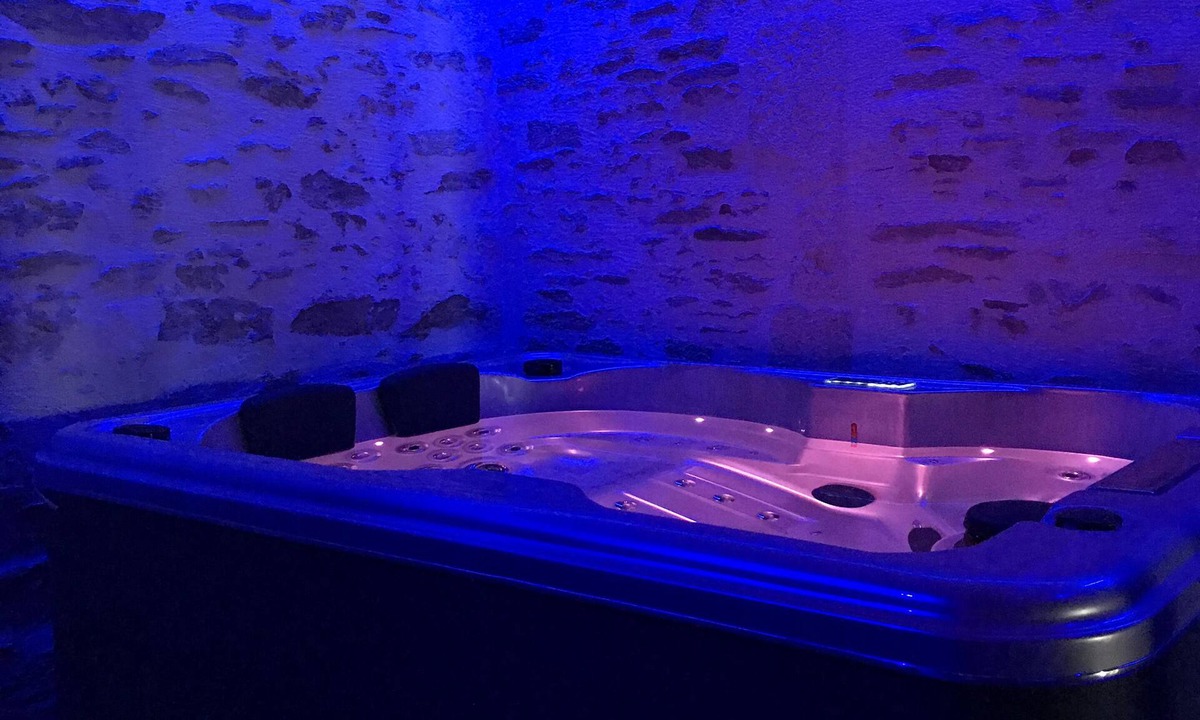 Mareuil-Sur-Lay-Dissais House | Residence with private spa The Lay of Calm. Spa area- jacuzzi hammam sauna