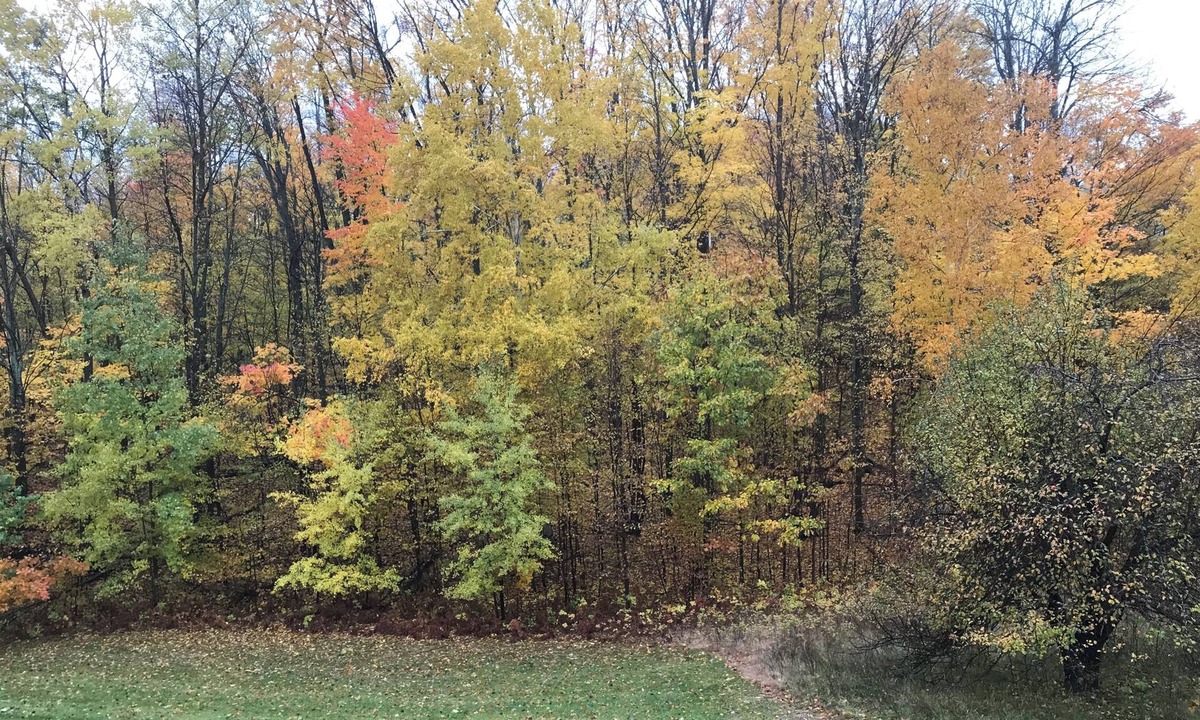 Boyne Falls Resort | Resort with 1 bedroom, AC & fireplace in phenomenal Boyne Falls