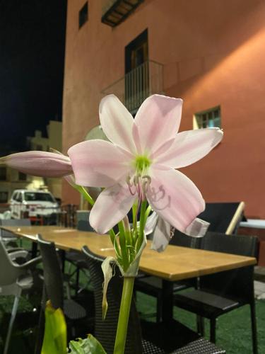 Sant Mateu House | Restaurant & Rooms Cabrit