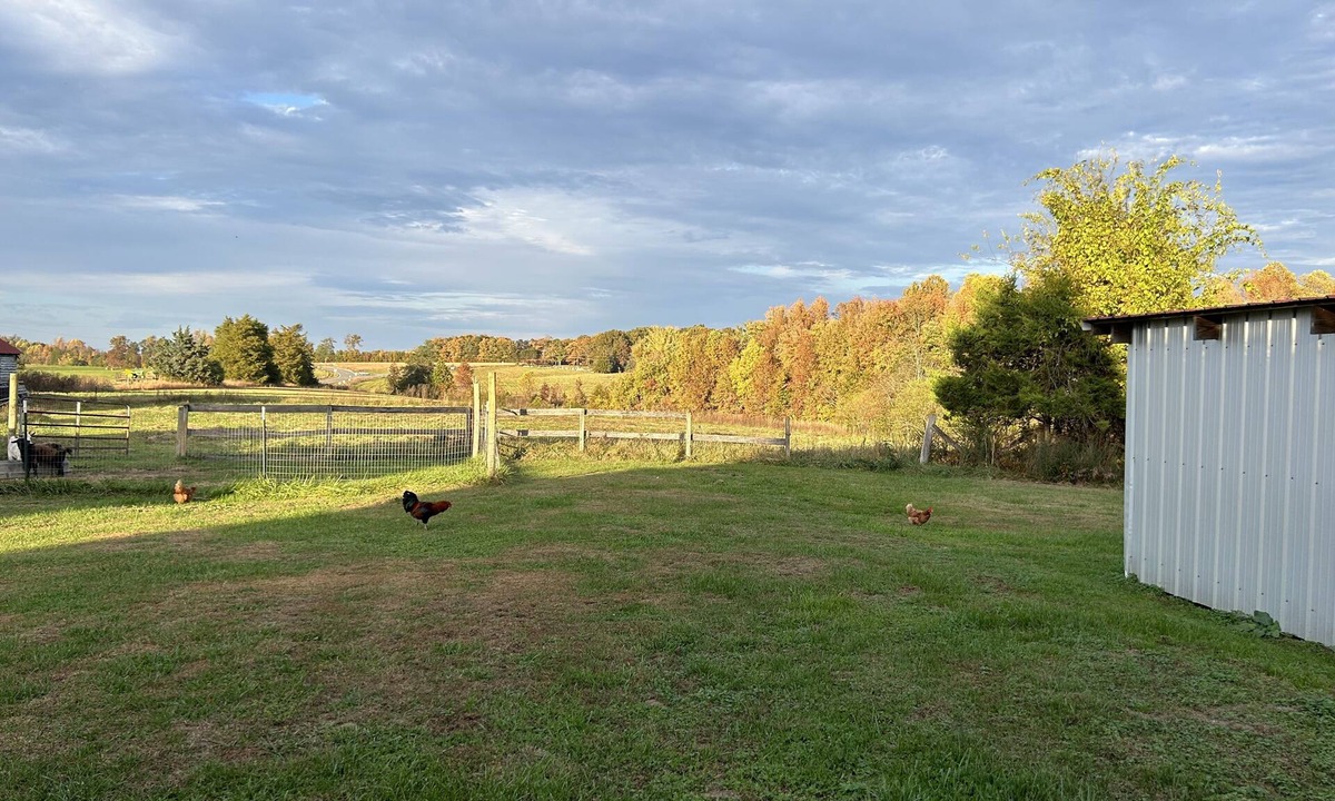 Cullen Cottage | Restful new cottage facing woods and paths near historic sites & biking trails