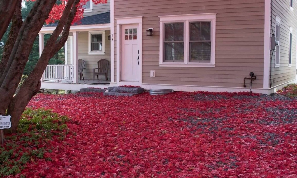 Lenox House | Restored 1881 Farm House