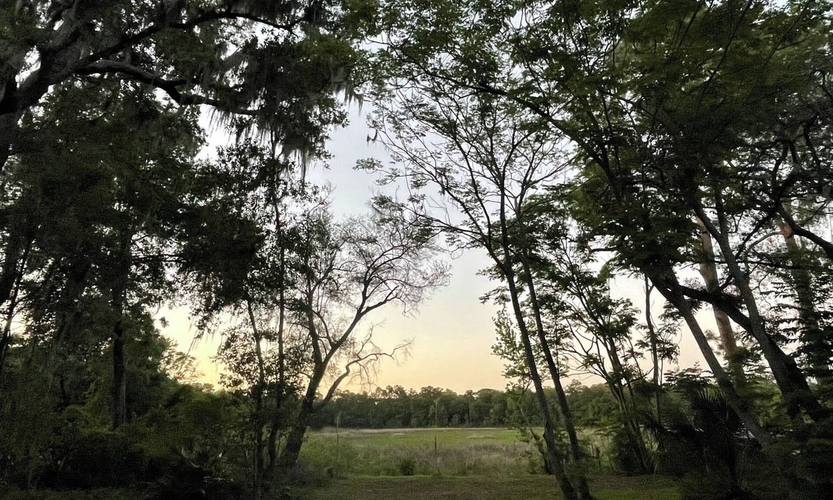 Silver Springs Cabin | Retired Disney cabin in silver springs