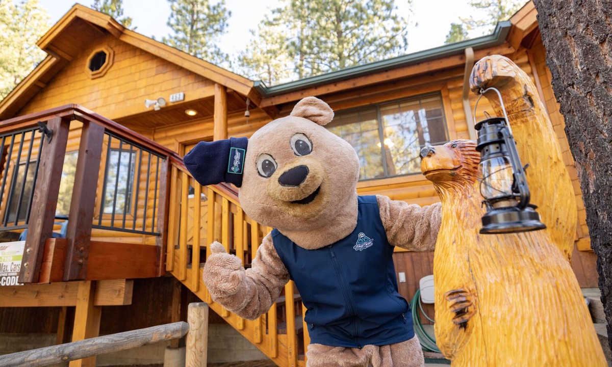 Fox Farm Cabin | Retreat To Fox Farm Central Log Cabin Chalet at Big Bear