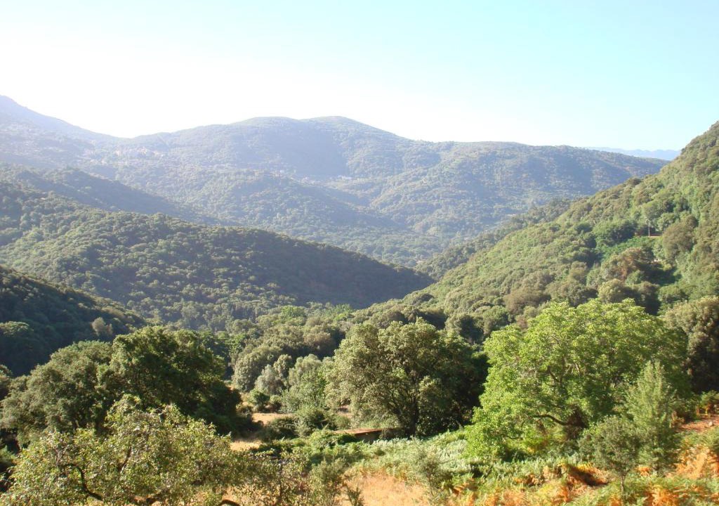 Loreto-di-Tallano Apartment | Rez de Villa