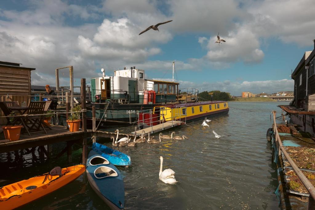 Shoreham-by-Sea Boat Rental | Rhubarb and Custard