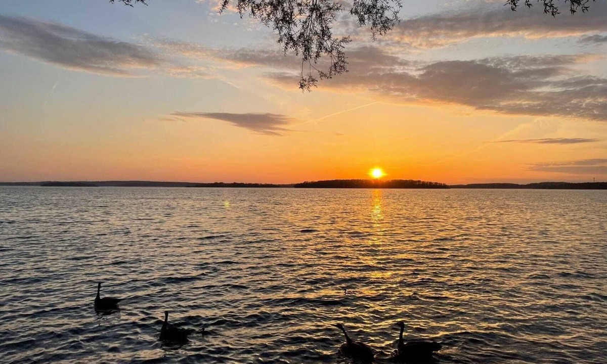 Roseneath Cabin | Rice Lake Cozy Waterfront Cabin