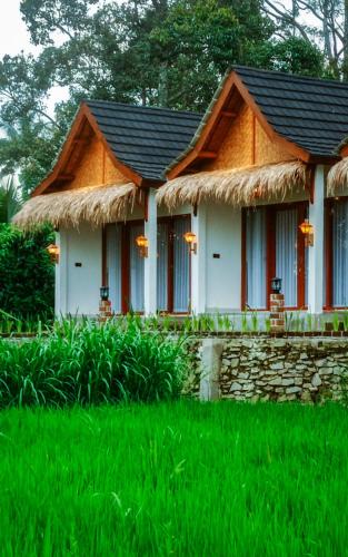 Tetebatu House | Rice Terrace Bungalows