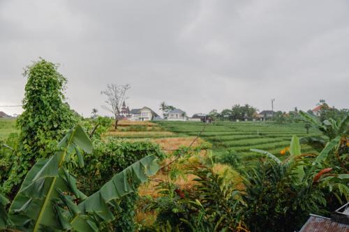 Babakan House | Ricefield View 2 BR villa near Canggu
