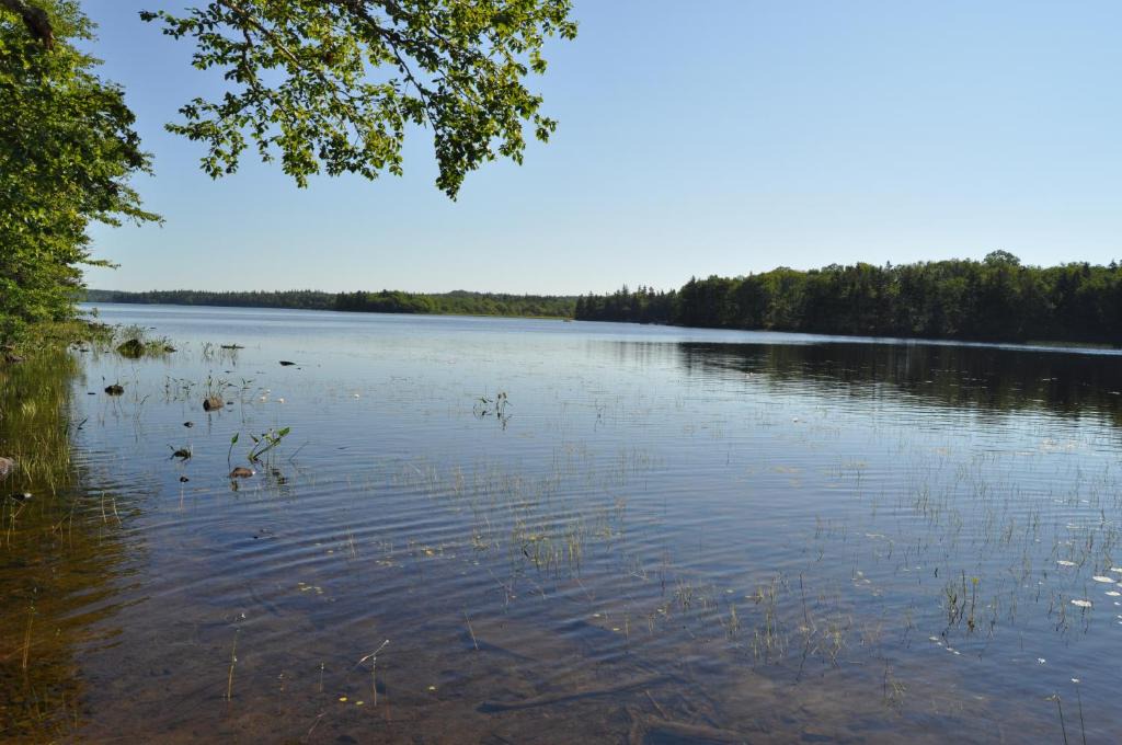 Port Maitland Apartment | Richmond Highland Farm