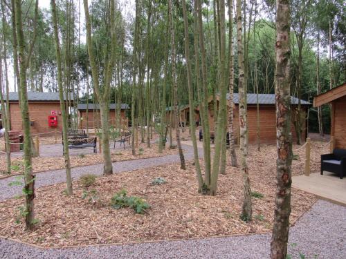 Giltbrook Other | Riddings Wood lodges
