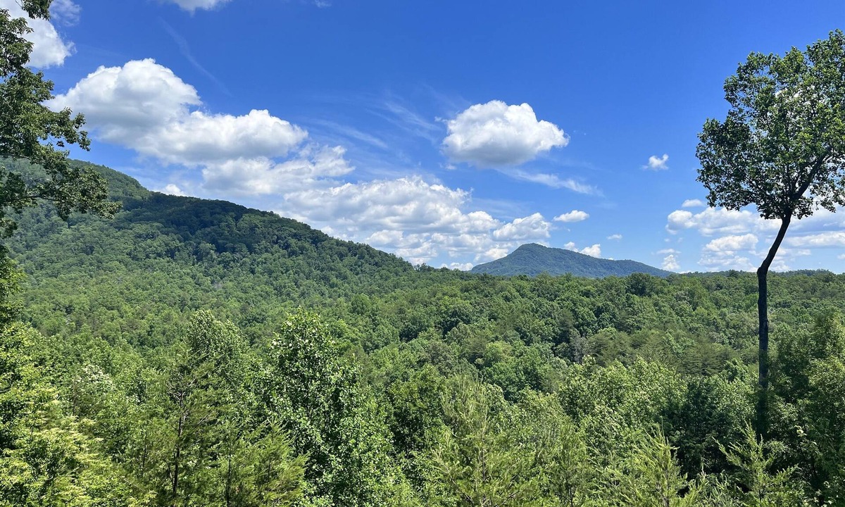 Lake Lure House | Ridgetop Landing by Carolina Properties - Lake Access, Pet Friendly, Great Views