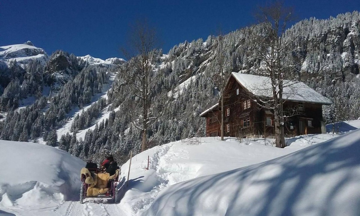 Braunwald House | Rietberg 8 Braunwald by Interhome