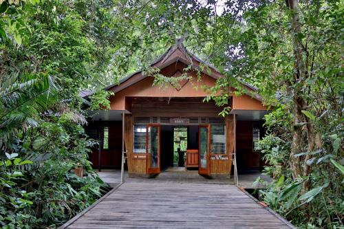 Kalimantan Cabin | Rimba Orangutan Ecolodge