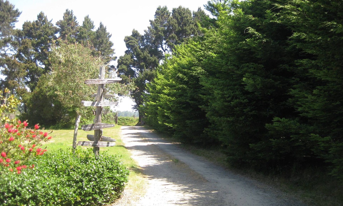 Albion House | Riventides: North Coast Delight