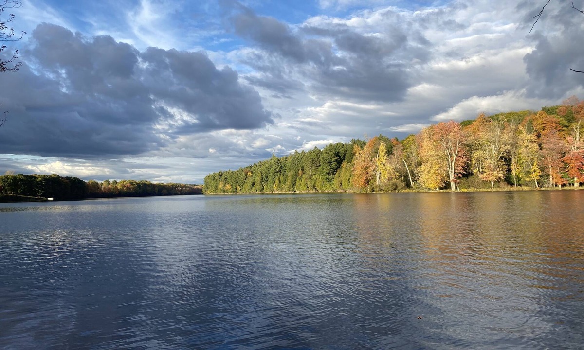 Rooseveltown Cabin | River Bank Camping, Cedar Grove Cabin