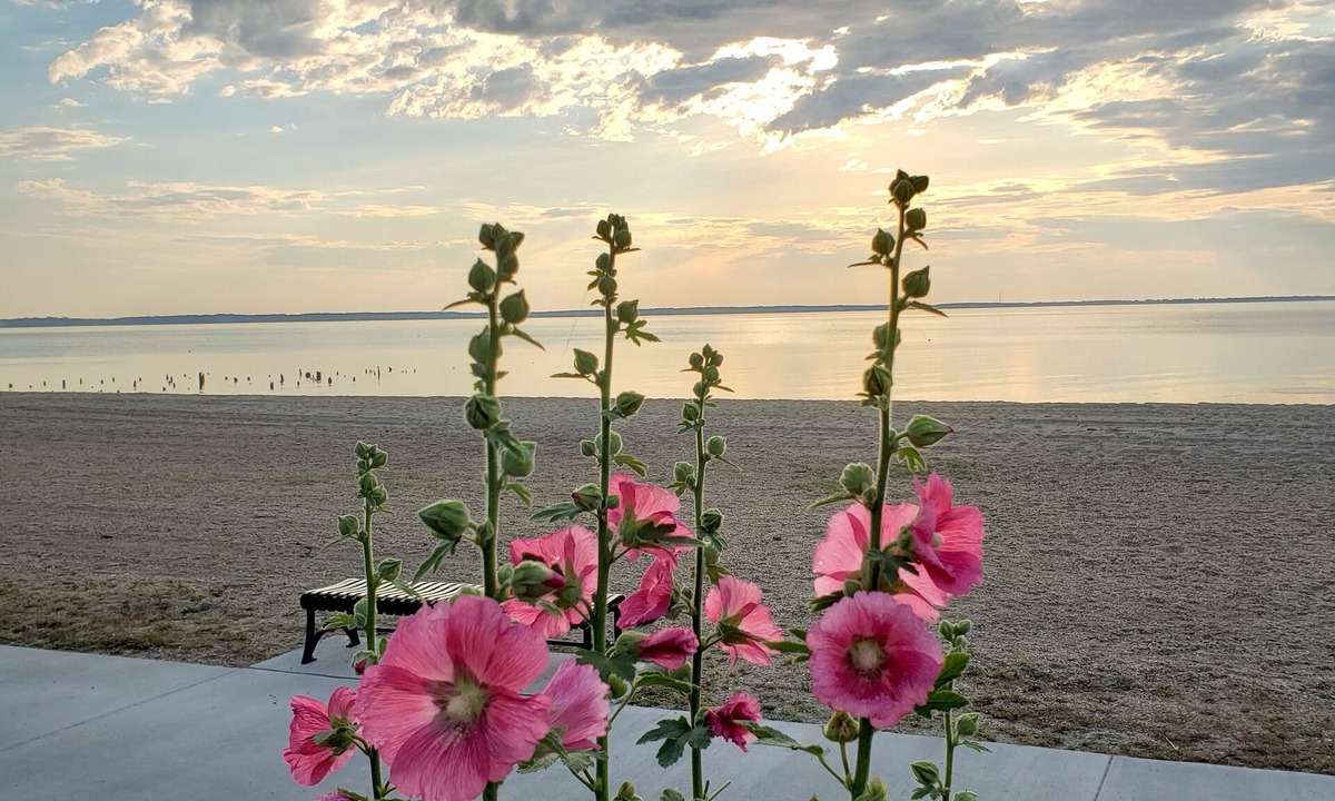 Issue Hotel | River Edge Inn