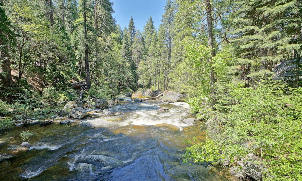 Kyburz Cabin | River front property!