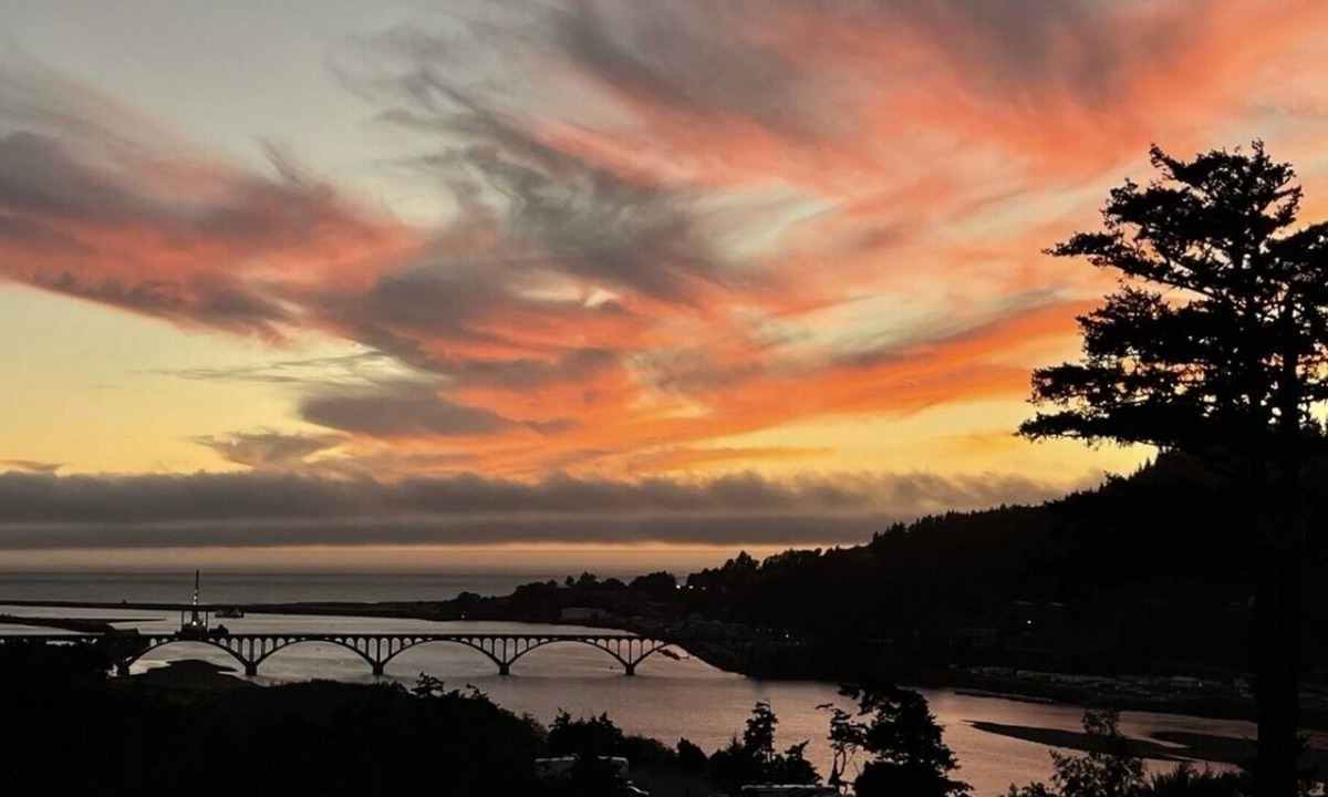 Gold Beach Cabin | River princess cabin 63