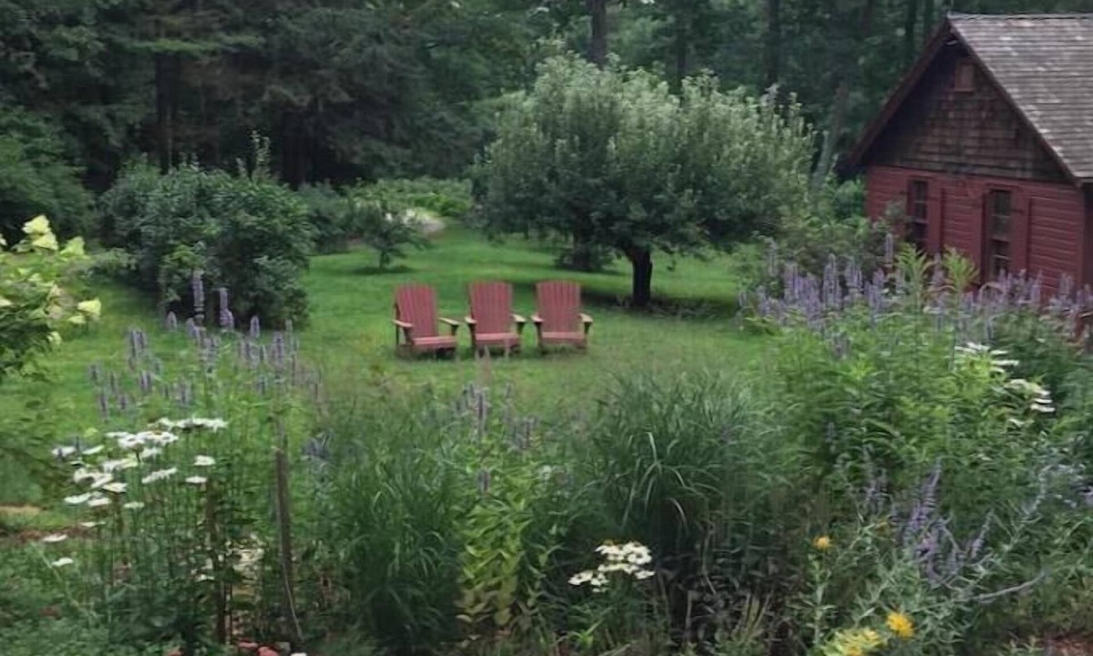 Wilton Apartment | River Room overlooking the waterfall