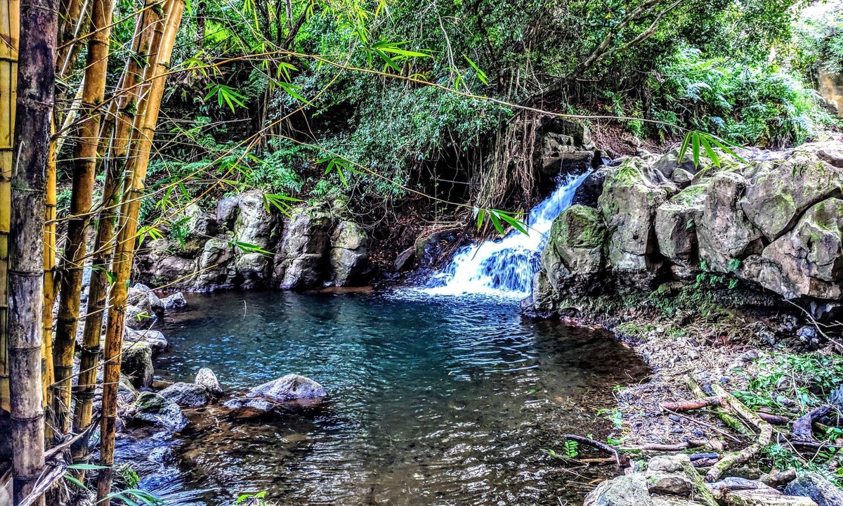 Pepeekeo Cabin | River View Rainforest Tiny Cabin with Kitchenette (No Cleaning Fee)