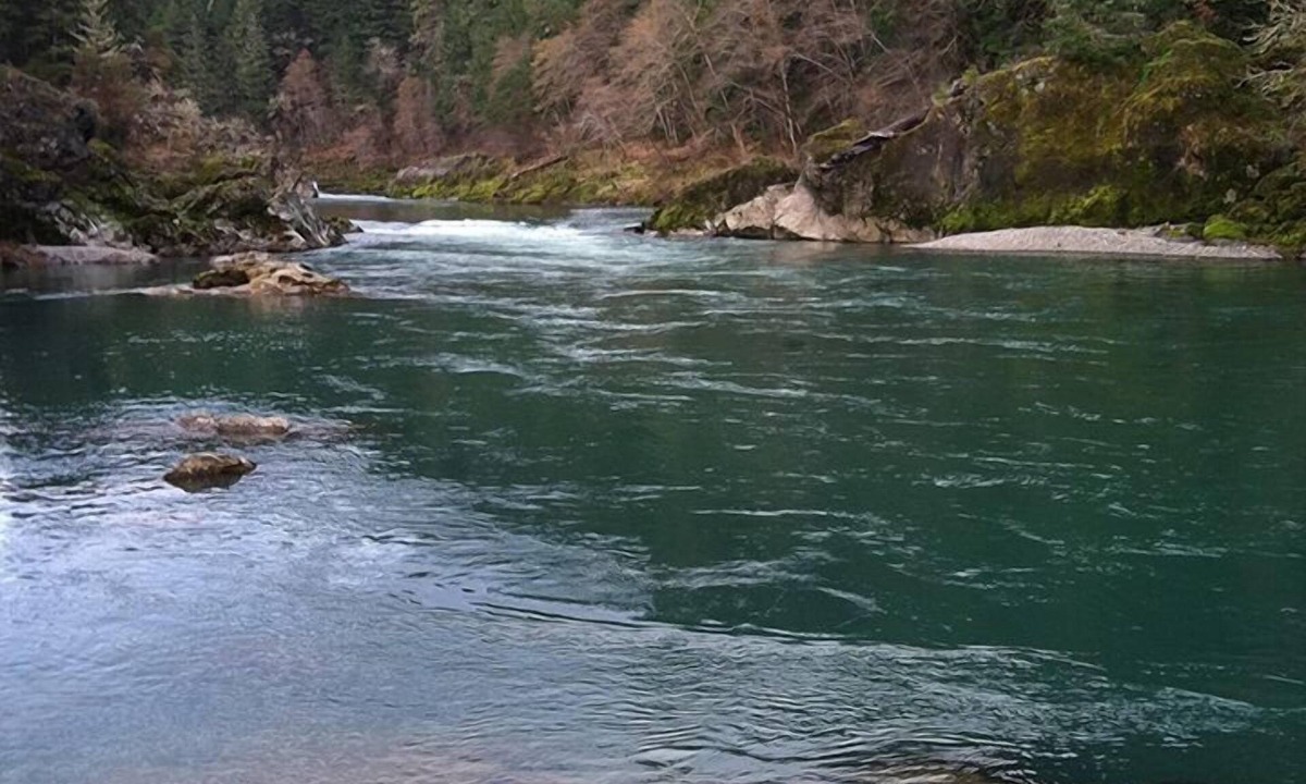 Roseburg House | River Vista Homes: Perfect for Fishing, Swimming, and Relaxing by the Water