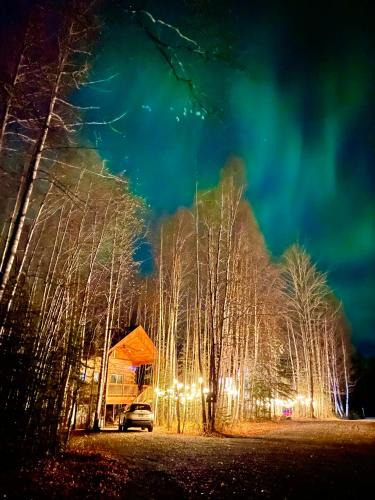 Houston House | Riverfront, Authentic, Luxury Log Cabin-Black Bear