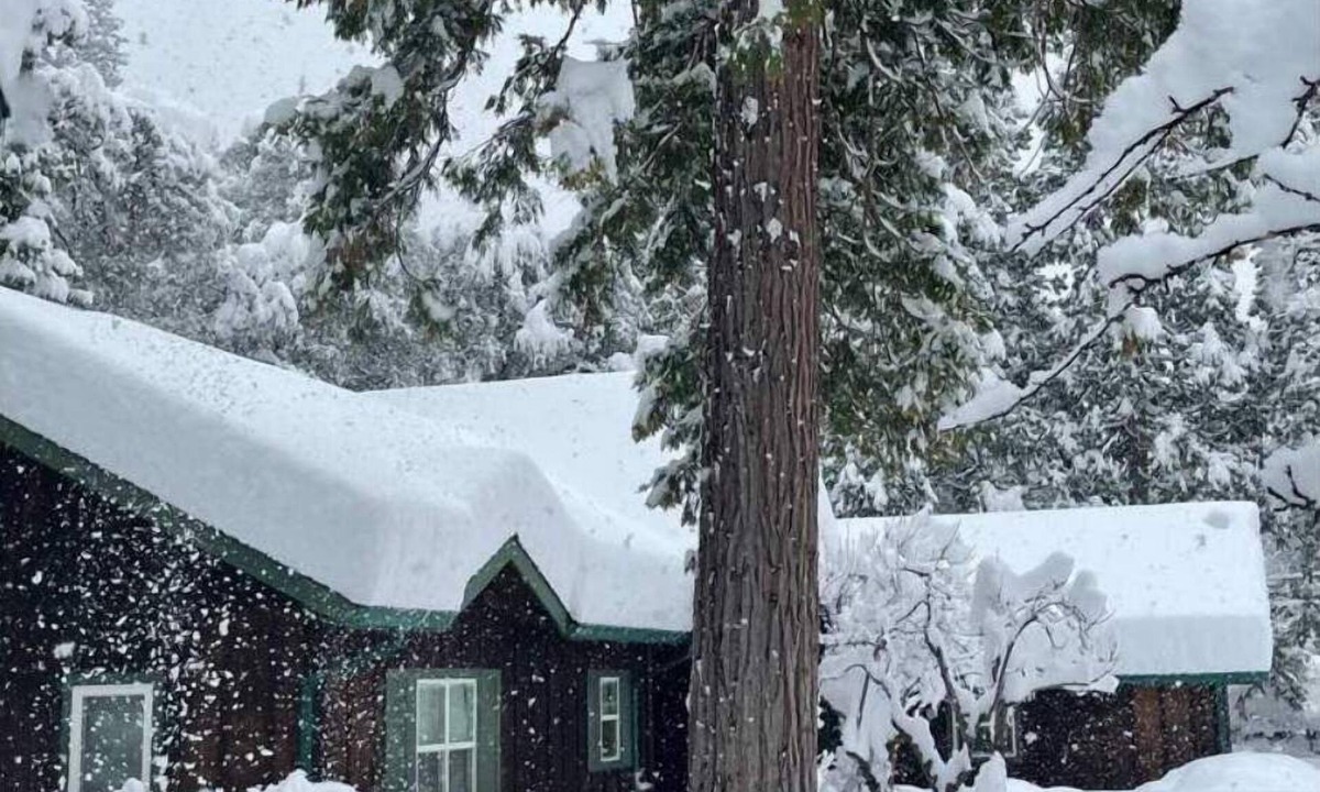 Castella House | Riverfront Oasis on the Upper Sacramento River