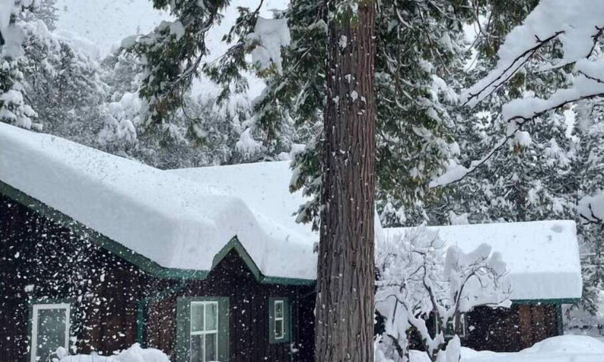 Castella House | Riverfront Oasis on the Upper Sacramento River