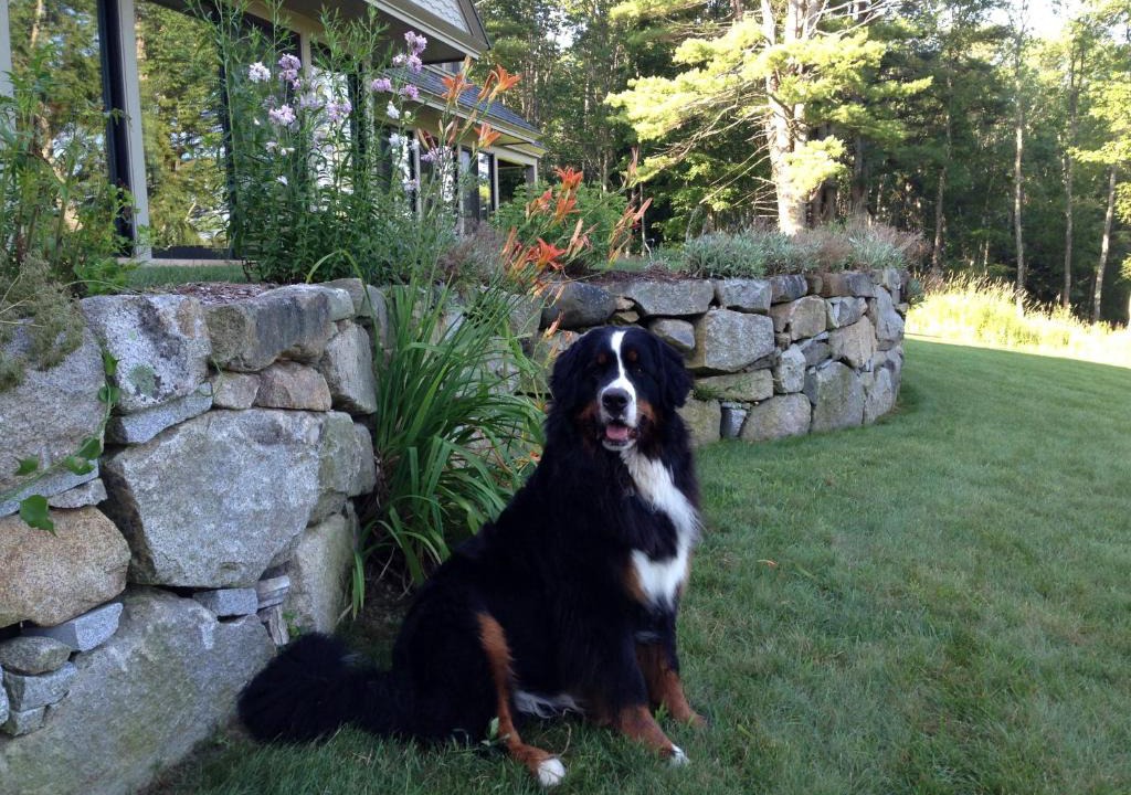 South Berwick Bed & Breakfast | Riverhouse